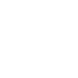 Export icon