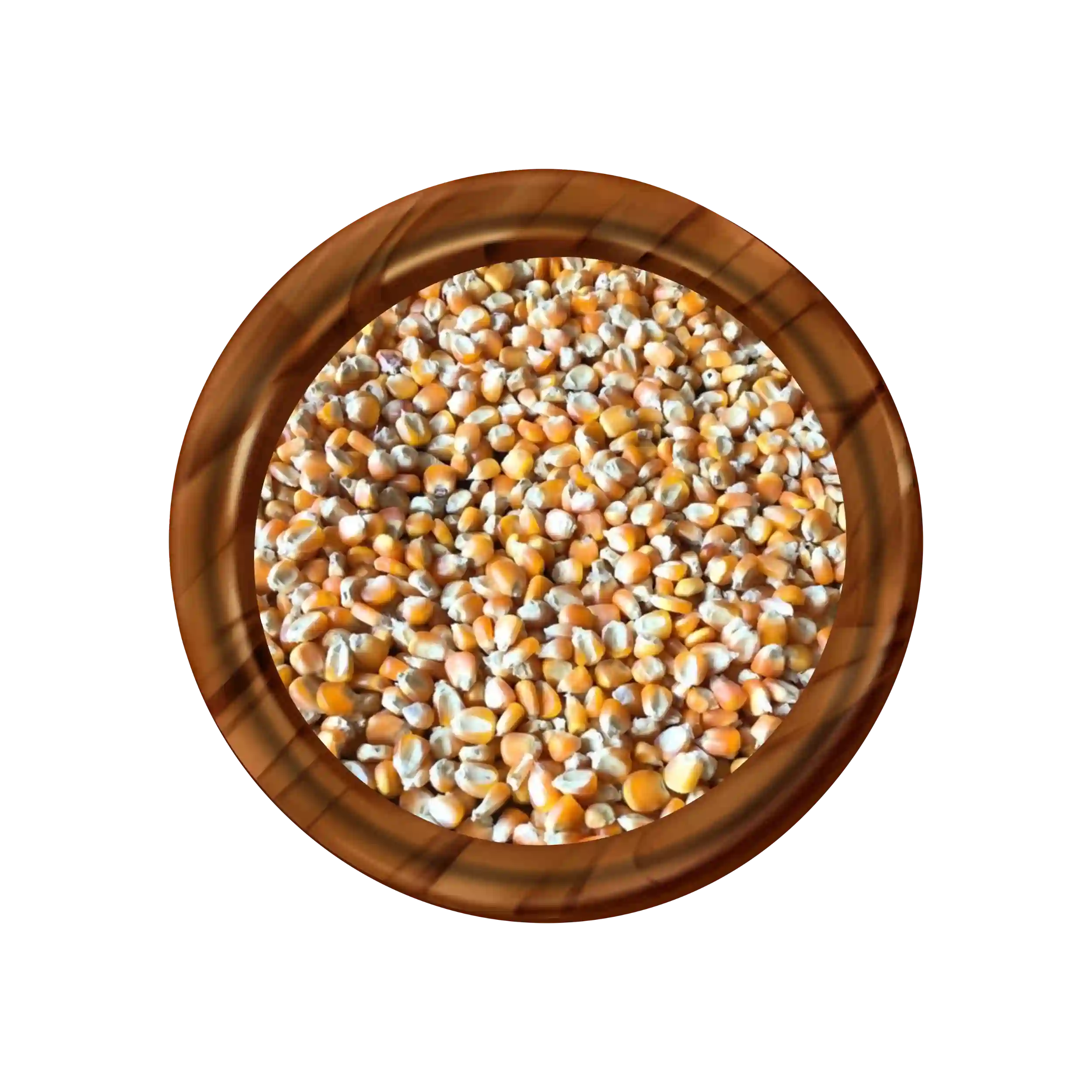 Maize