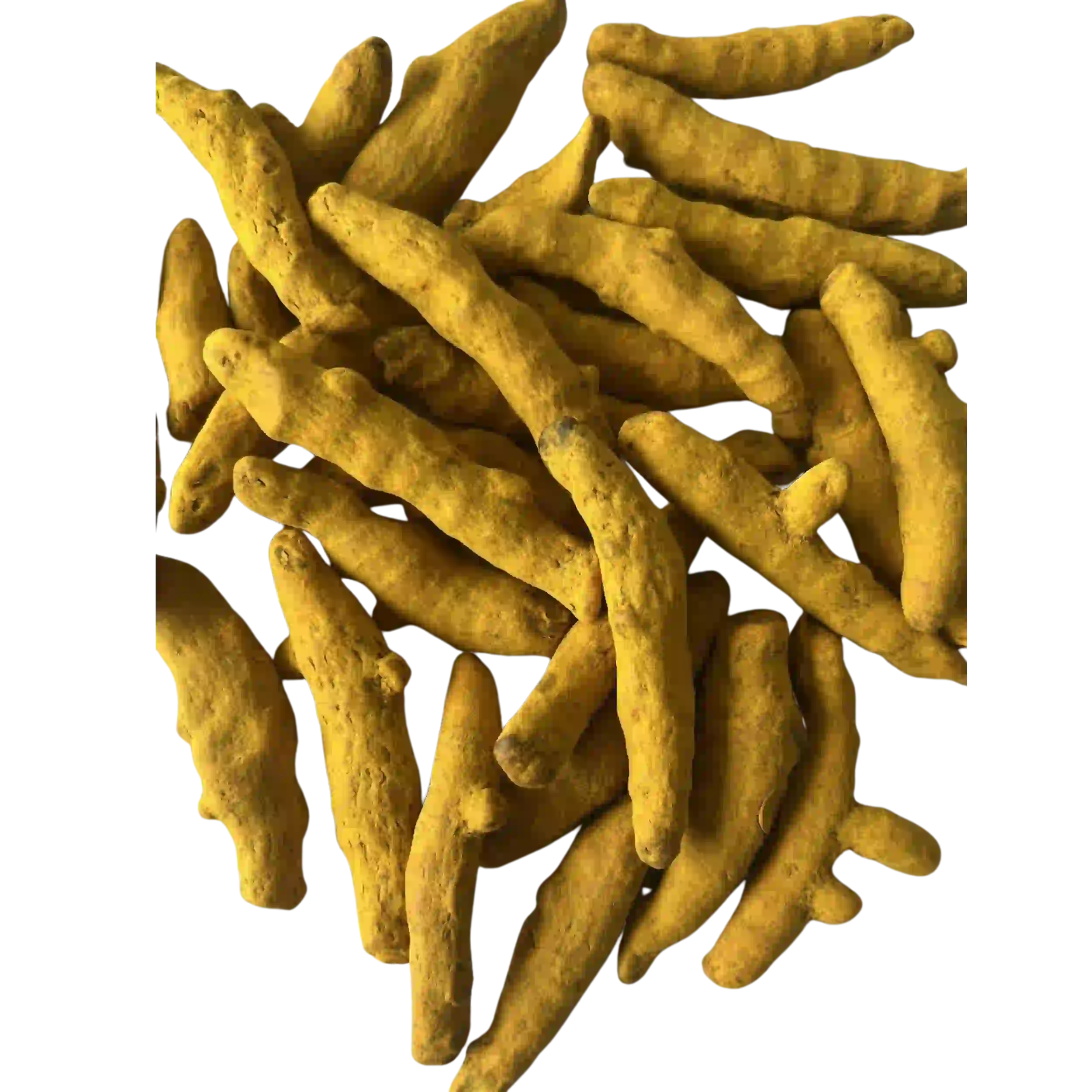 Turmeric Finger Japan