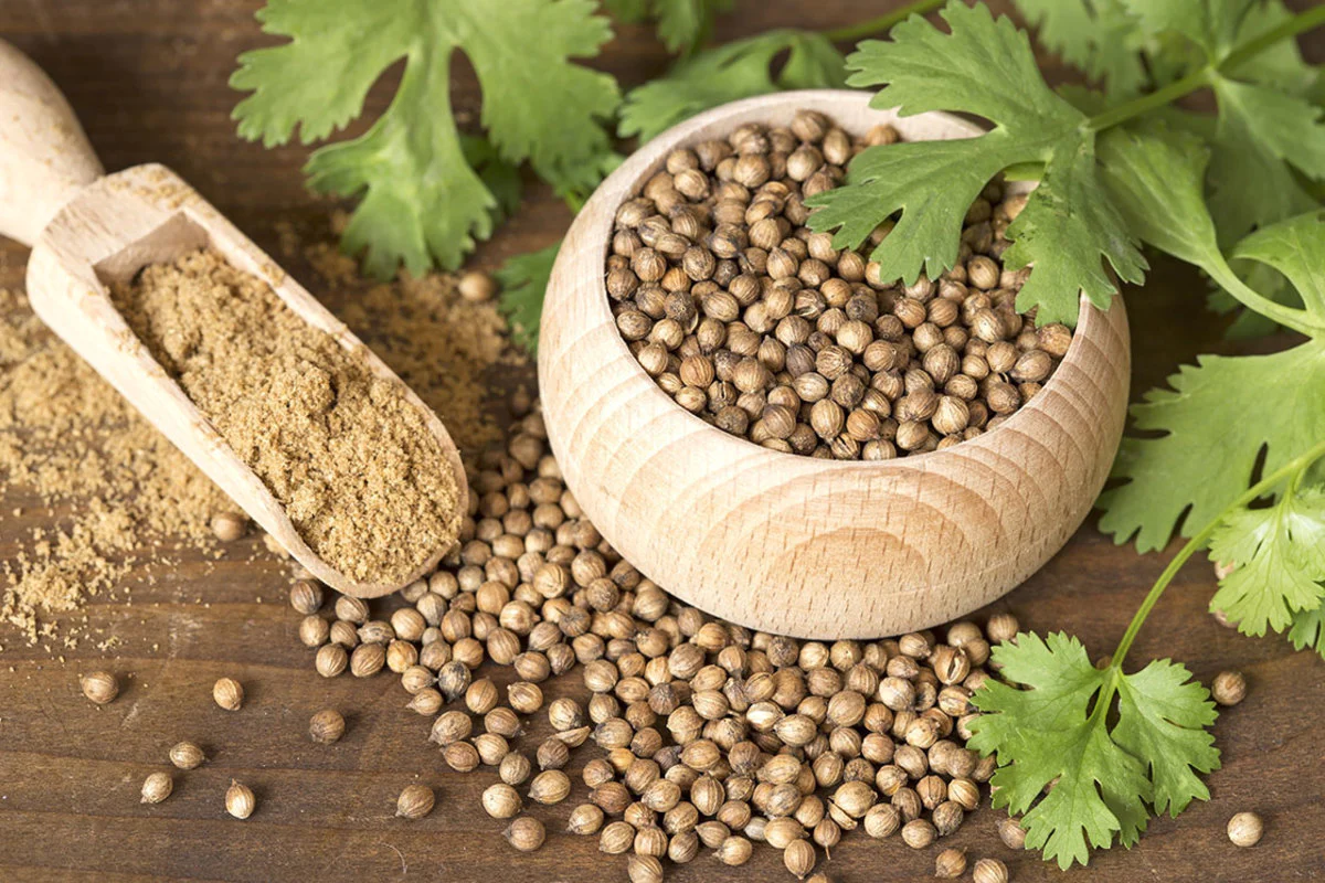 coriander seeds banner