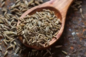 cumin banner