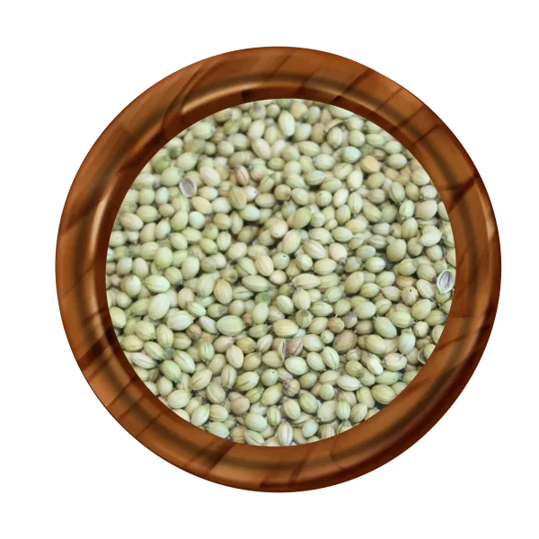 Double Parrot coriander