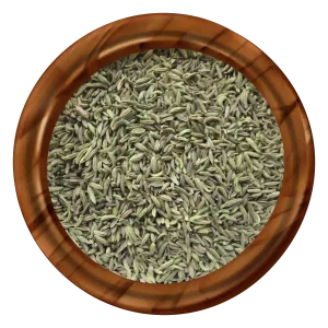 Fennel Singapore Type