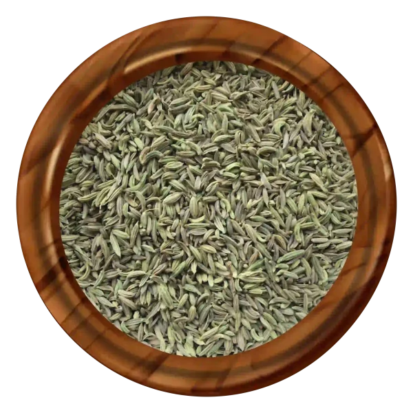 Fennel Singapore Type